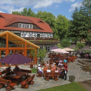 Hotel Boltenmühle